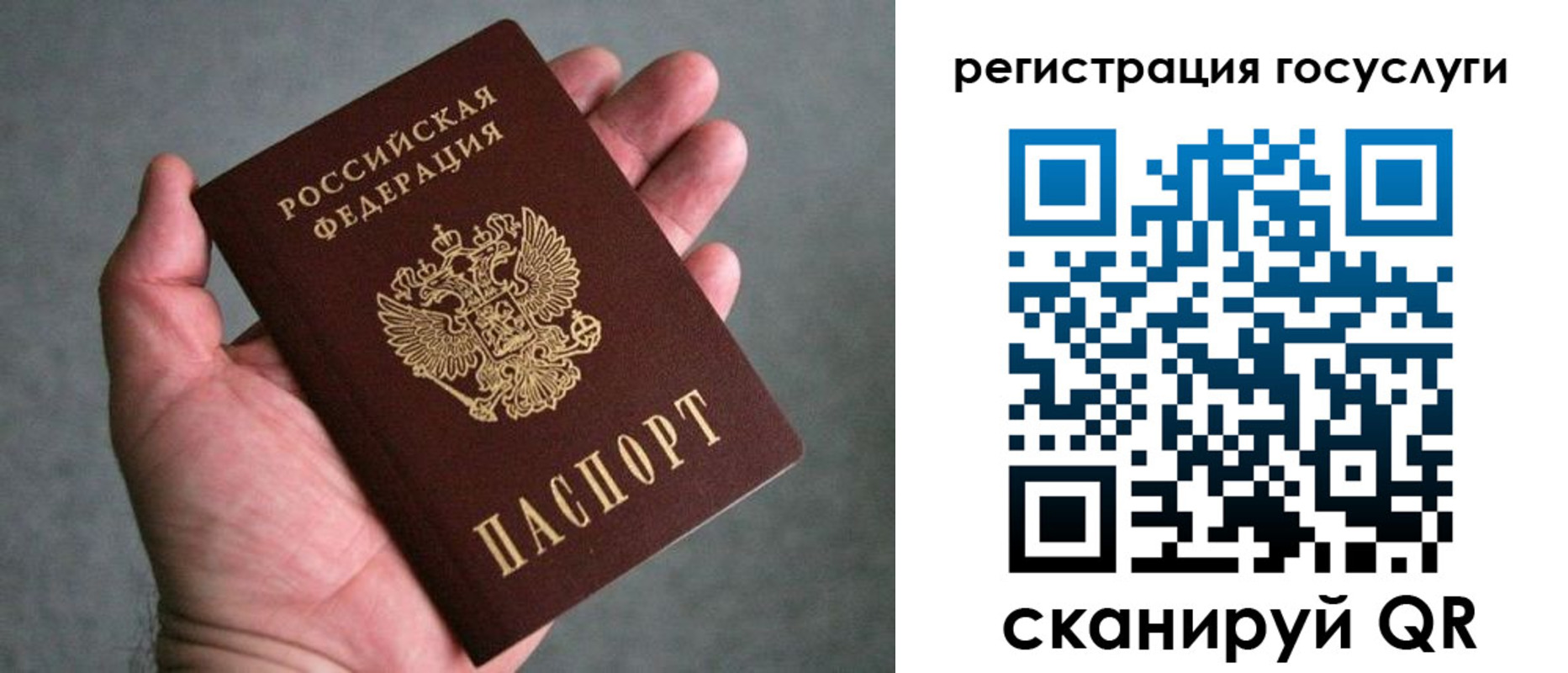 прописка поиск в Снежногорске